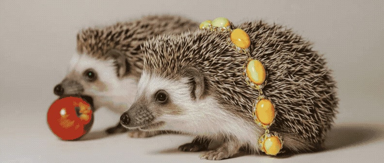 Kahramani amber jewelry